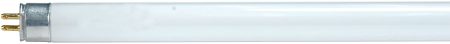 Satco S8145 Fluorescent Light bulb